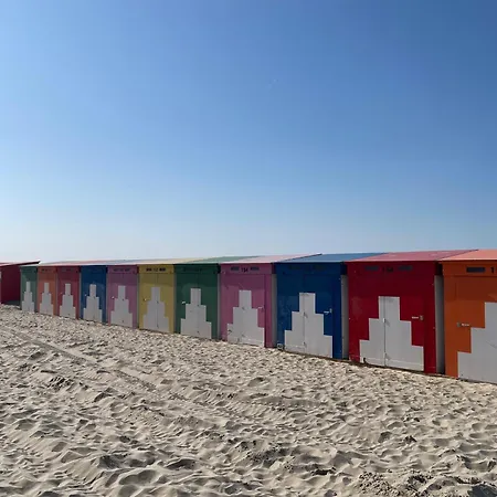 Dunkerque - Cap Nord - Duplex - *