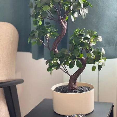 Appartement Dunkerque - Cap Nord - Duplex - Duinkerke