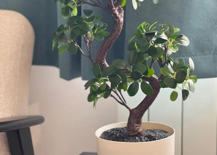 Apartment Dunkerque - Cap Nord - Duplex - Dunkirk